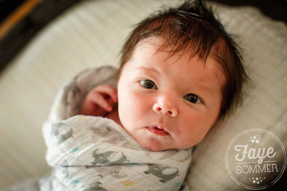 dayton newborn photographer captures baby