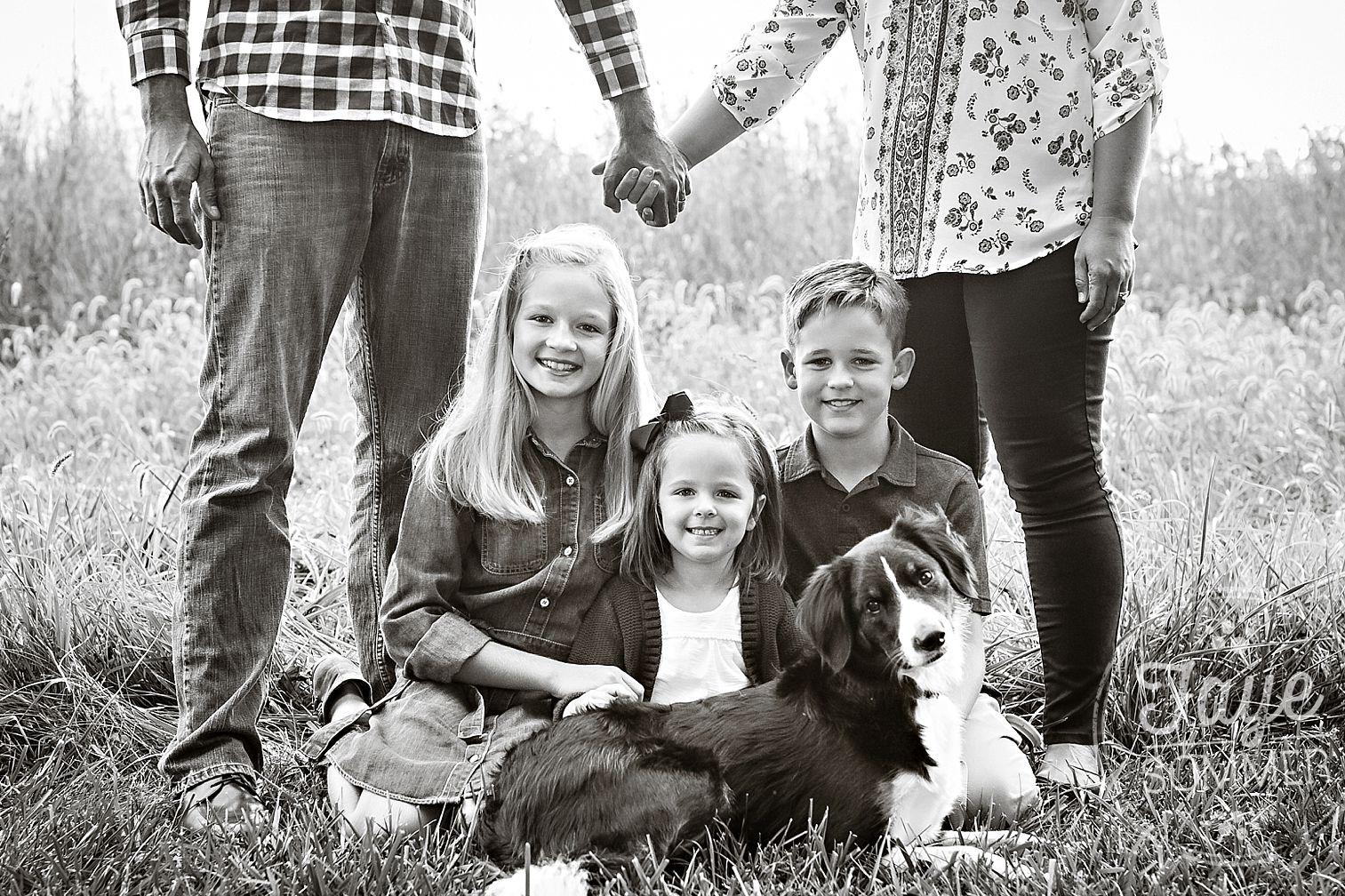 tipp city family photography with dog